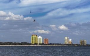 distant view of tall buildings near the water