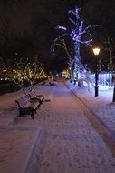 bench in the park under the lantern at night