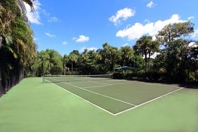 green Tennis Court among the plants