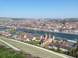 vineyard in w&uuml;rzburg