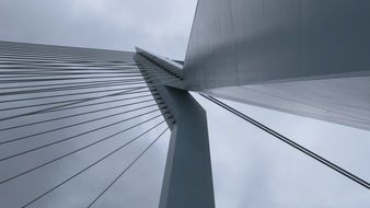 bridge architecture in Rotterdam