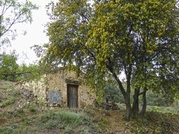 landscape of Stone Barraca building