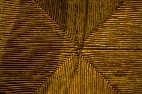 Macro photo of Texture Wood