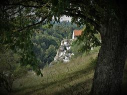 Old castle on a hill in German