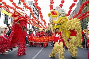 lion dance in the Chinese New Year