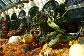 decoration with pumpkin vegetables