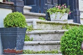 weathered stone stairway
