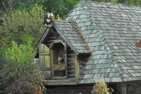 old wooden log cabin in the forest