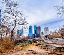 Central Park in New York in Wiinter