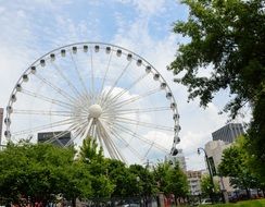 Skyview of the Ferris Wheel among the plants in park at summer, usa, georgia, Atlanta