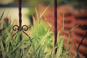 old iron fence texture