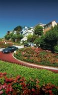landscape of House Villa and garden