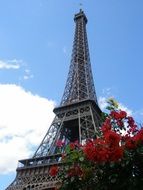 famous eiffel tower with flowers