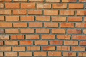 Photo of red brick wall