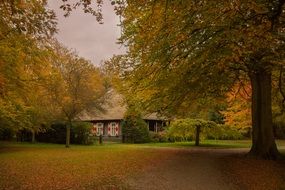 hut among the autumn forest