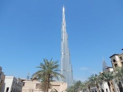 the world's tallest burj kalifa building in Dubai