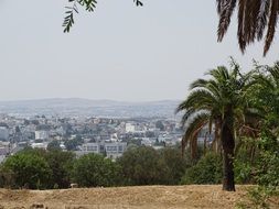 behind the green trees the city