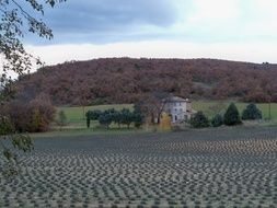 house near lavender field