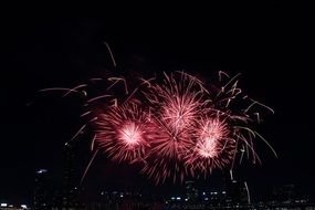 amazing international Seoul fireworks festiva