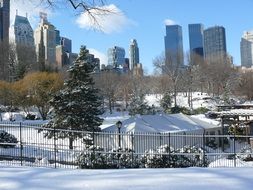 winter panorama in Central Park in New York City