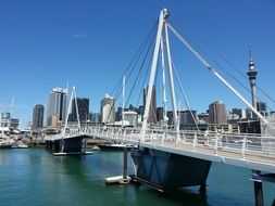 modern bridge in auckland architecture