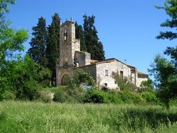 historic Romanesque church among the trees