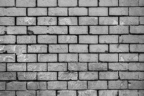 Bricks Wall monochrome