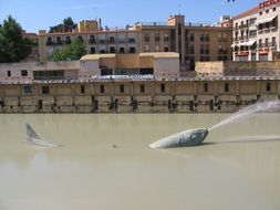 monument to the big sardine in the river