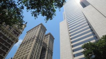 High Buildings in downtown, usa, texas, dallas