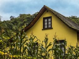 strikingly beautiful Old House