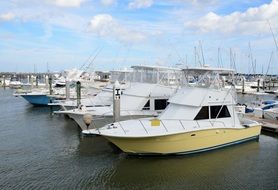 moored white yachts at a pier in Florida