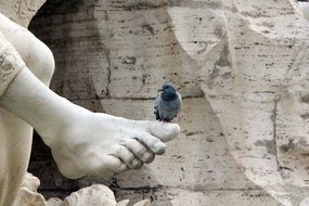 Colorful dove on the leg of a sculpture near the rocks