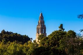 distant view of the tower among the green trees