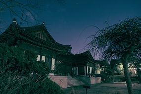 temple at night in korea