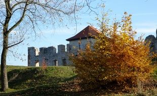 castle behind the yellow bush