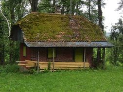 old hut among green forest