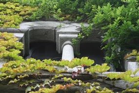 stone arch near the window