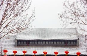 strikingly beautiful Snow Roof