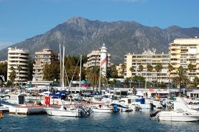 Picture of port in Marbella