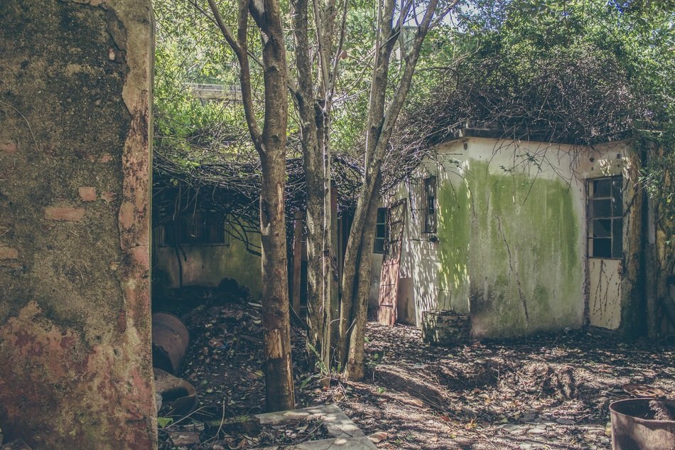 Mallorca luxury villa forgotten garden