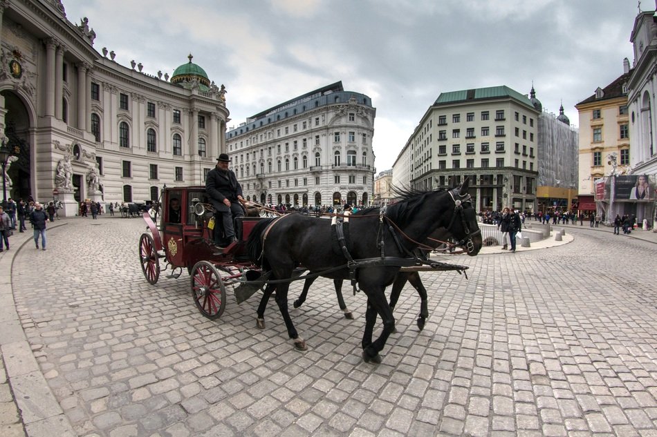 chariot in the city center