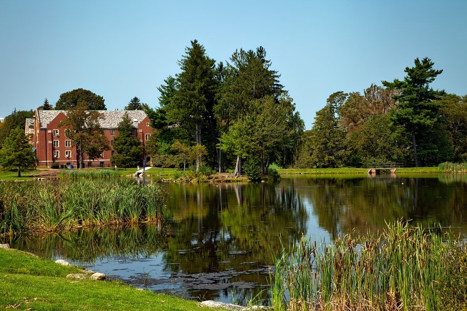 Pond near the University of Connecticut