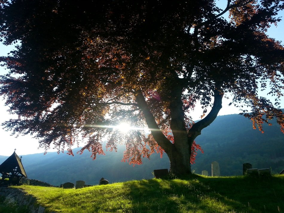 landscape of aged Graveyard near Church at sunny morning
