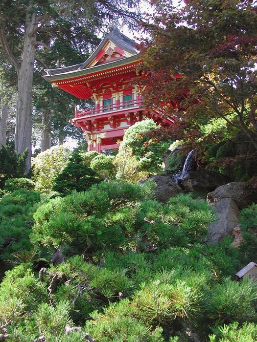 building in the park behind the trees