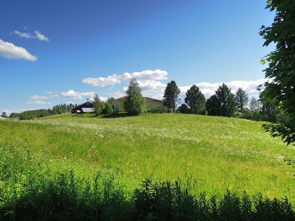 green meadow in north karelia