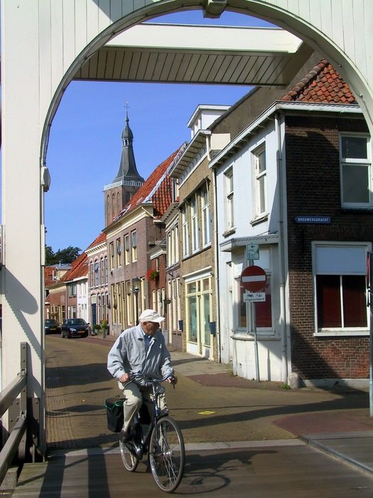 Cyclist in Netherlands