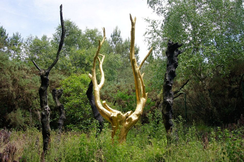 golden tree in the forest, broceliande