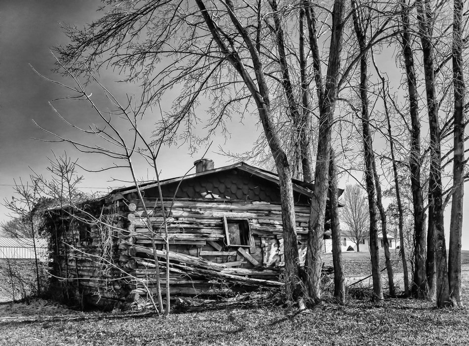 forest house in black and white