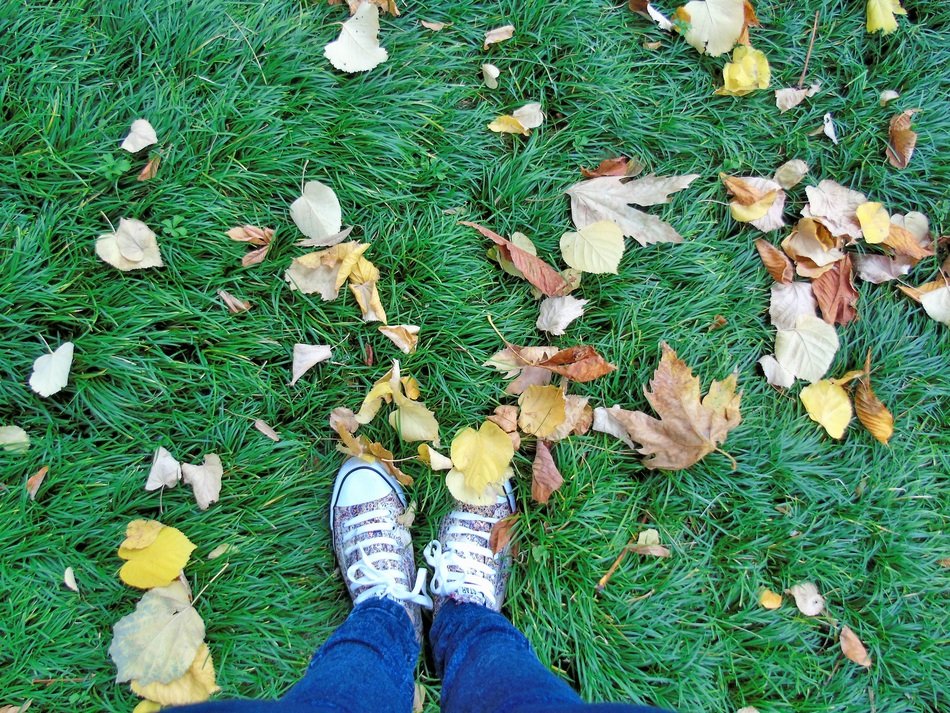 Feet in sneakers on Lawn at Autumn