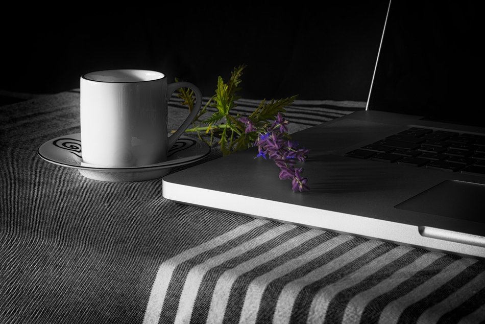 cup and flower near the laptop
